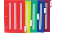 5 Color Dividers/Tabs Set